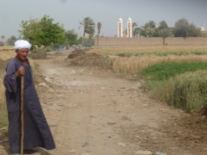 The large tree in the upper right is the Holy Family Tree. The Sarabamoun Monastery is quaintly isolated in agricultural land. Here, a local farmer pauses by the side of the road.